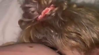Apologizing And Performing Oral Sex On Partner'S Penis