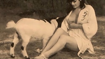 Classic Taboo: Intense Pussy And Doggy Style Action